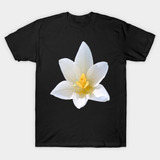 White Crocus Close Up No Background T-Shirt